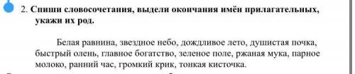 Спиши словосочетания, выдели окончания имён прилагательных, укажи их род. Белая равнина, звездное не