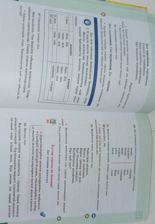 17. Өлеңдерді оқы. Құс сұлуыаққумынТабиғат көркін сыйлаған.Мылтығын кезеп еш мергенАтуға көзі қимаға