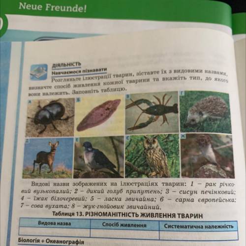 Розгляньте ілюстрації тварин, зіставте їх з видовими назвами, визначте б живлення кожної тварини та