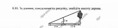 За даними рисунка знайдіть висоту дерева​