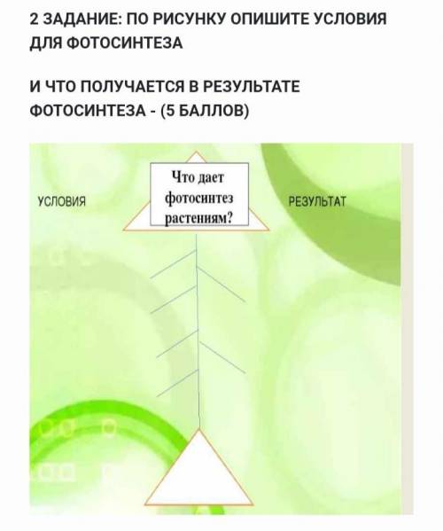 Что дает фотосинтез растениям? 1) условия 2) результат потому что очень