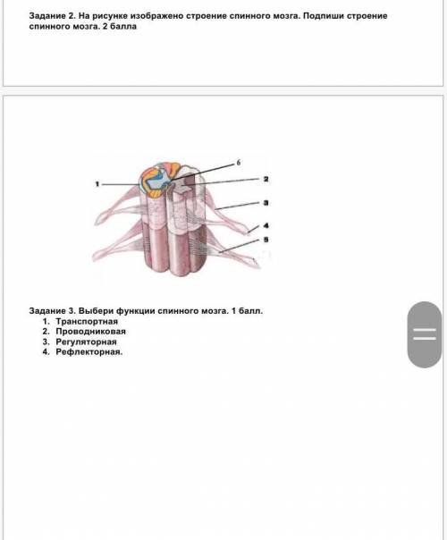 нужна биология с вторым и третьим заданием ​