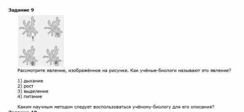 Рассмотри явление,изображенное на рисунке.Как ученые-биологи называют это явление ​