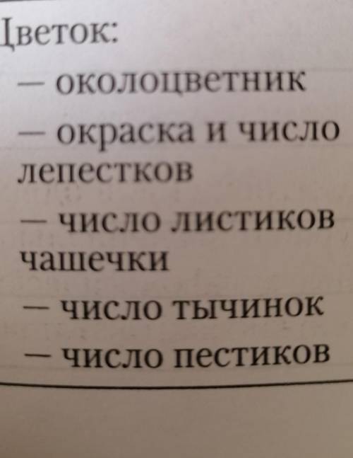 Речь идёт о ромашке аптечной и полевой