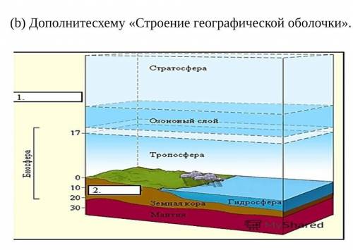 Дополнитесхему «Строение географической оболочки»​