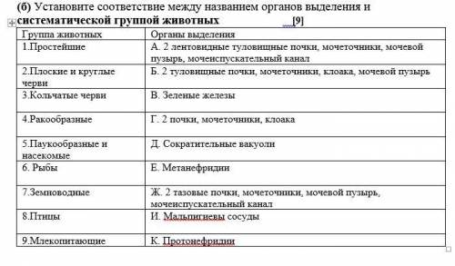 (б) Установите соответствие между названием органов выделения и систематической группой животных [9]