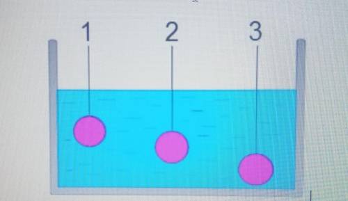 В сосуд погружены три железных шарика равных объемов одинаковые ли силы, выталкивающие шарики​