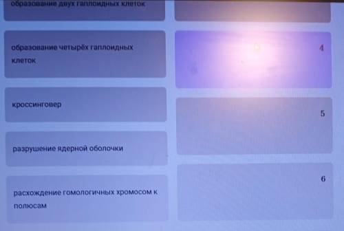 Умоляю кто знает Задание: Расставьте процессы первого деления мейоза в правильном порядке. Будьте вн