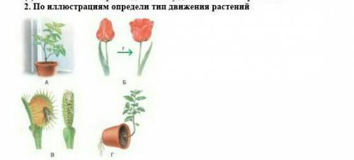 По иллюстрации определи тип движения растений ​