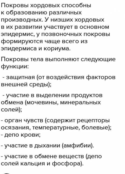 вопроса 1. Какую роль у турбеллярии играют мерцательные реснички, и почему покровы большинства ленто