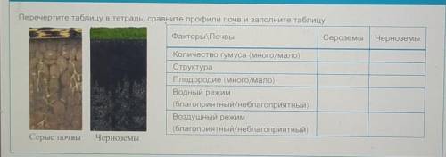 Перечертите таблицу в тетрадь, сравните профили почв и заполните таблицу.​