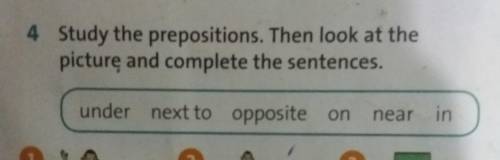 Ex 4 put prepositions Under - под чем то , next to – рядом , opposite- на против , on – на чем то ,