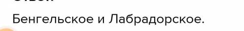 Какие течения являются тёплыми? (Может быть несколько вариантов ответа): Канарское Куросио Лабрадорс