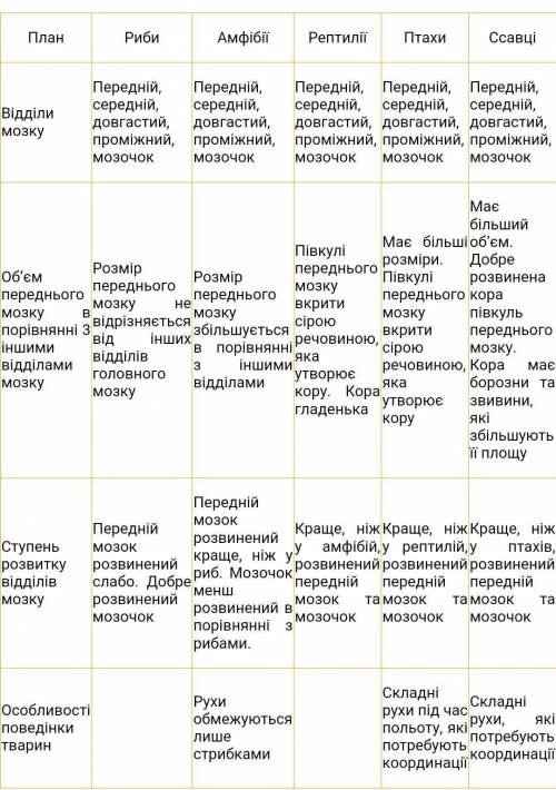 Порівняти будову мозгу ​