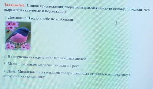 Задание No2. Спиши предложения, подчеркни грамматическую основу, определи, чем выражены сказуемые и