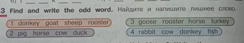 3. Find and write the odd word.Найдите и напишите лишнее слово. ​