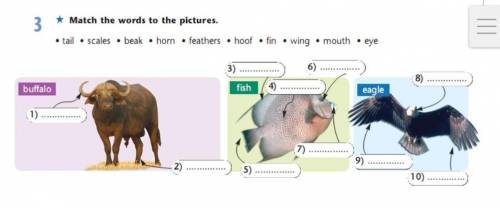 Math the words to thepictures​