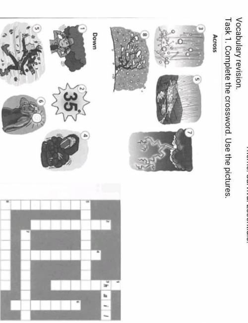 Vocabulary revision. Theme. Survival ESsentials.Task 1. Complete the crossword. Use the pictures.Acr