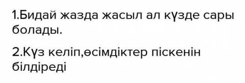 Екі суретті салыстар. Сұрақтарға жауап бер. 1 Бидайдың түсі қай кезде қандай болады?2 Бидайдың түсін