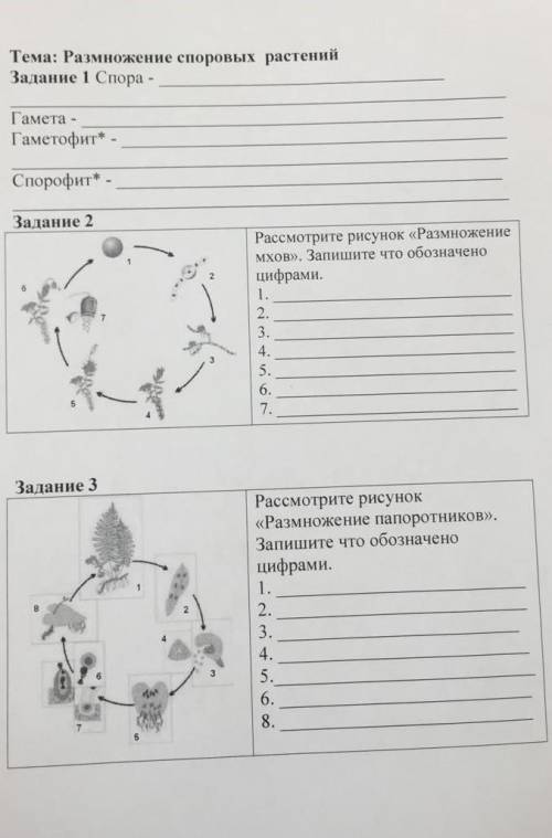 с тестом по биологии ​