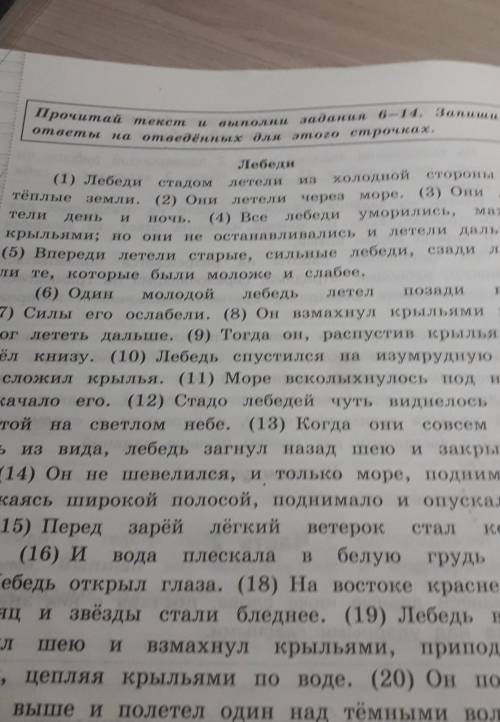 (0) Замени слово «стадо» («стадом») «стадо» («стадом») из 1-го предложенияблизким по значению словом