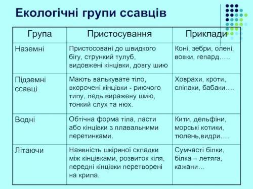 начертить и заполнить таблицу по 8 отрядам млекопитающих 1. Название отряда, 2. Представители, 3. Ос