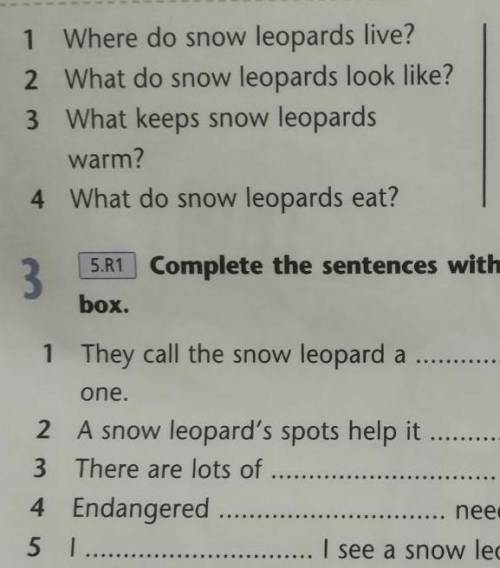 DIPOUKNOW? 1 Where do snow leopards live?2 What do snow leopards look like?3 What keeps snow leopard