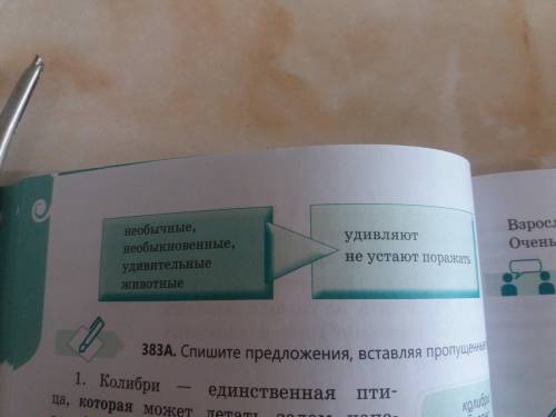 выполнить упражнения.Прочитай текст в упражнение 382А и выполни задания.А)Запиши тип речи данного те