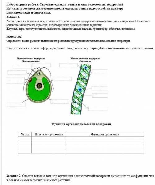 по биологии, кто хорошо знает, не игнорьте ​