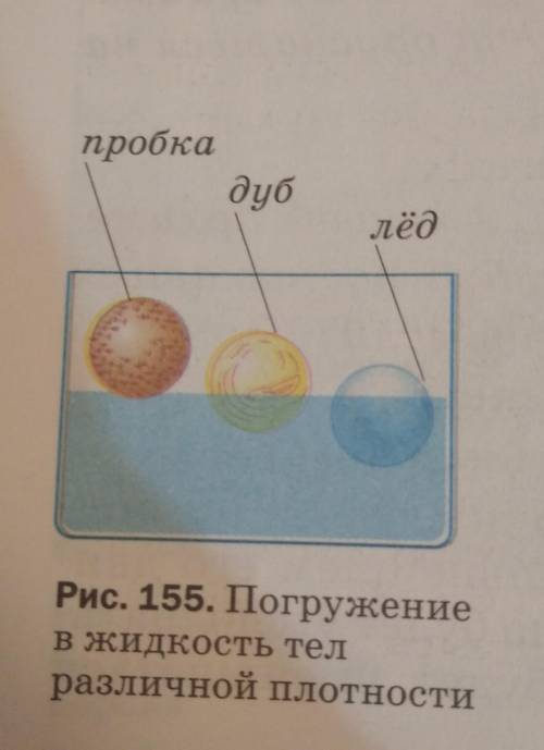 Используя рисунок 155, изобразите графически силы действующие на тела различной плотности, погружённ