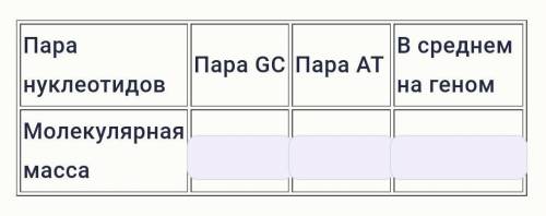 В геноме человека содержание пар GC составляет примерно 40%, а пар АТ – примерно 60%. Рассчитайте ср