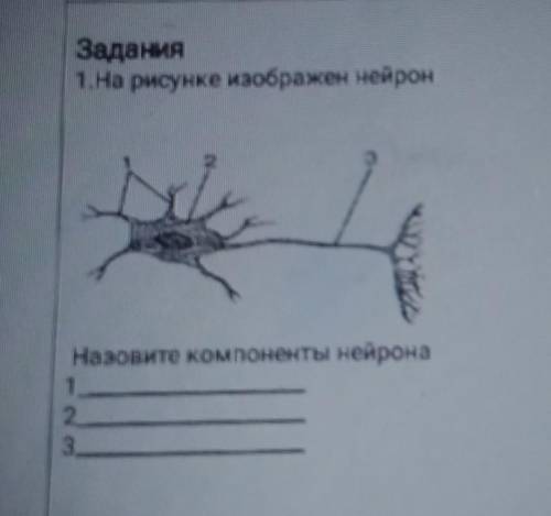 1.На рисунке изображен нейронназови компонентынейрона​