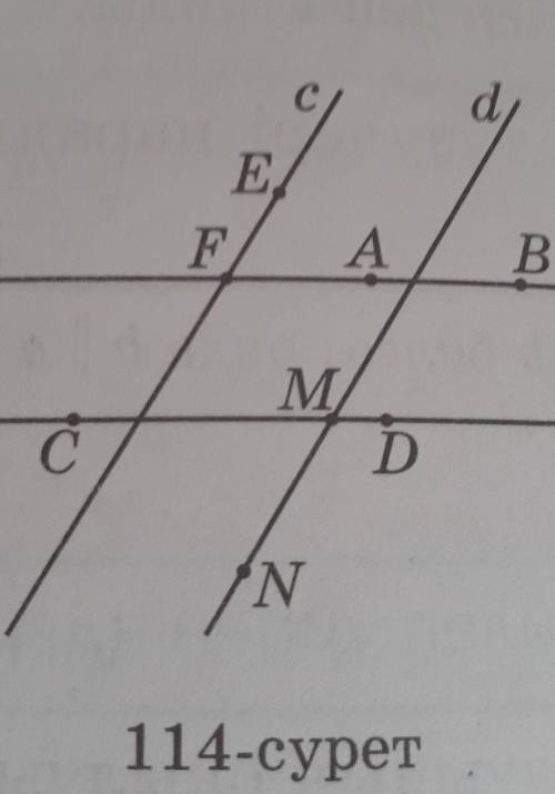 114 суретте а тізуіне b тізуіне c тізуі d тізуіне параллель суреттен параллель кесінділерді атаңдар
