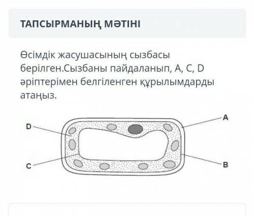 комектесиндерши комектесиндерши ​