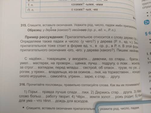 315. Спишите вставьте окончания. Укажите род, число, падеж имён прилагательных.