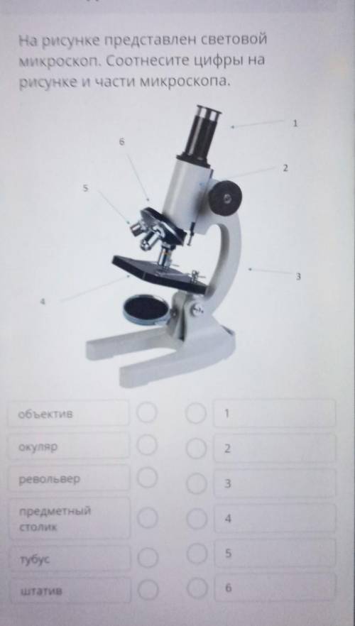 На рисунке представлен световой микроскоп. Соотнесите цифры нарисунке и части микроскопа.162534объек