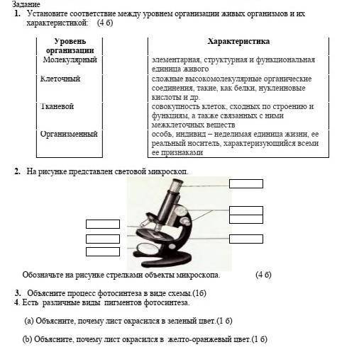 сор по естествознанию ​