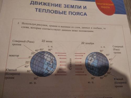 Используя рисунки сравни и выпиши из слов данных в скобках те слова которые соответствуют данным ниж