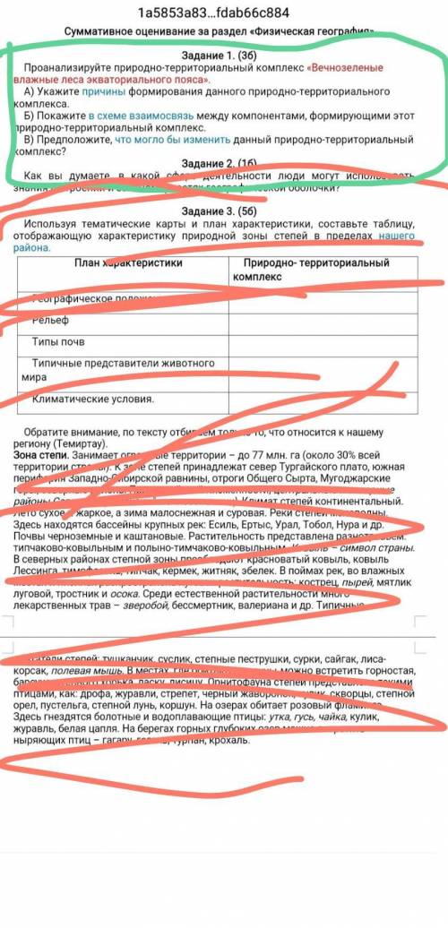 Задание 1 Задание 1.(3б) Проанализируйте природно-территориальный комплекс «Вечнозеленые влажные лес