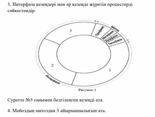 Требуется: сделать 3 и 4 задание, полностьюИсточник: Биология 9 класс​