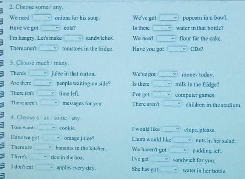 2.Choose some/any.3.Choose much/many.4.Choose a/an/some/any.​