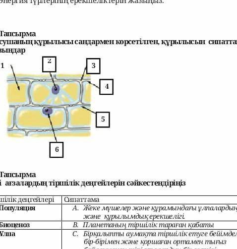 айтындаршы жаратылыстану пәні​