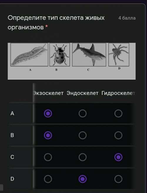 Определите тип скелета живых организмов акулы,слизня,божьей коровки и у паука ​