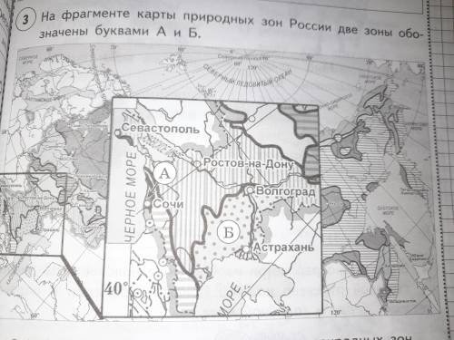 На фргаменте карты природных зон Росси две зоны обозначены буквами А и Ю. 3.1.Запиши соответствующие