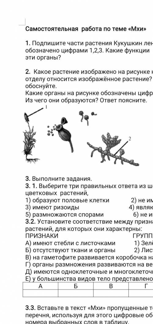 Самостоятельная работа по теме «Мхи» 1. Подпишите части растения Кукушкин лен. Что обозначено цифрам