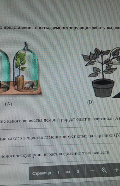 На картинках представлены опыты демонстрирующих работу выделительной системы​