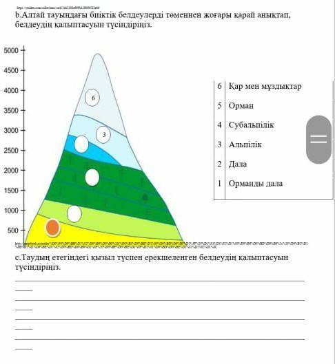 Кімде бар беріңіздерші​