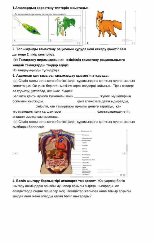 1.Aғзалардың қоректену типтерін анықтаңыз.  ￼  ￼2. Толыққанды тамақтану рационын құруда нені ескеру