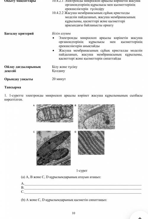 Биология Бжб 10 класс ​