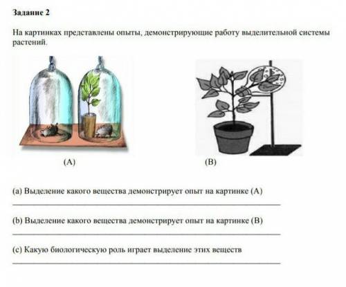 На картинках представлены опыты, демкнетрирующие работу выделительной системы растений(А)(а) Выделен